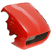 nose